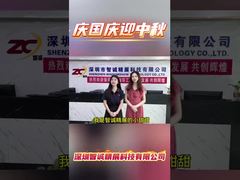 ऑफलाइन एक्स-रे काउंटर मशीन